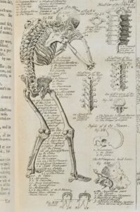 Cyclopædia : or, an Universal Dictionary of Arts and Sciences